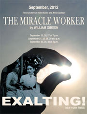 Miracle Worker poster