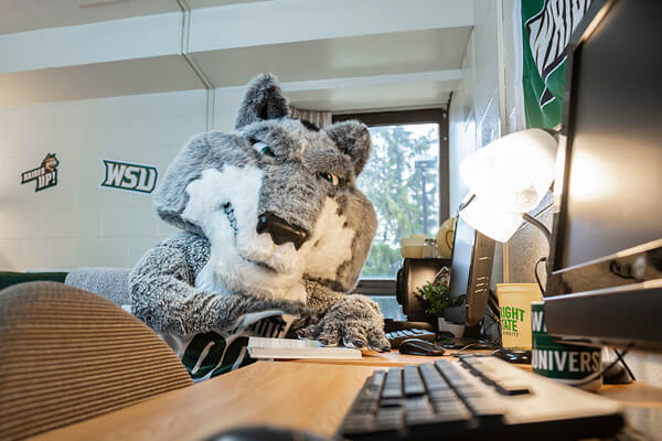 rowdy studying in a dorm
