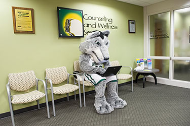 photo of rowdy in the counseling and wellness office