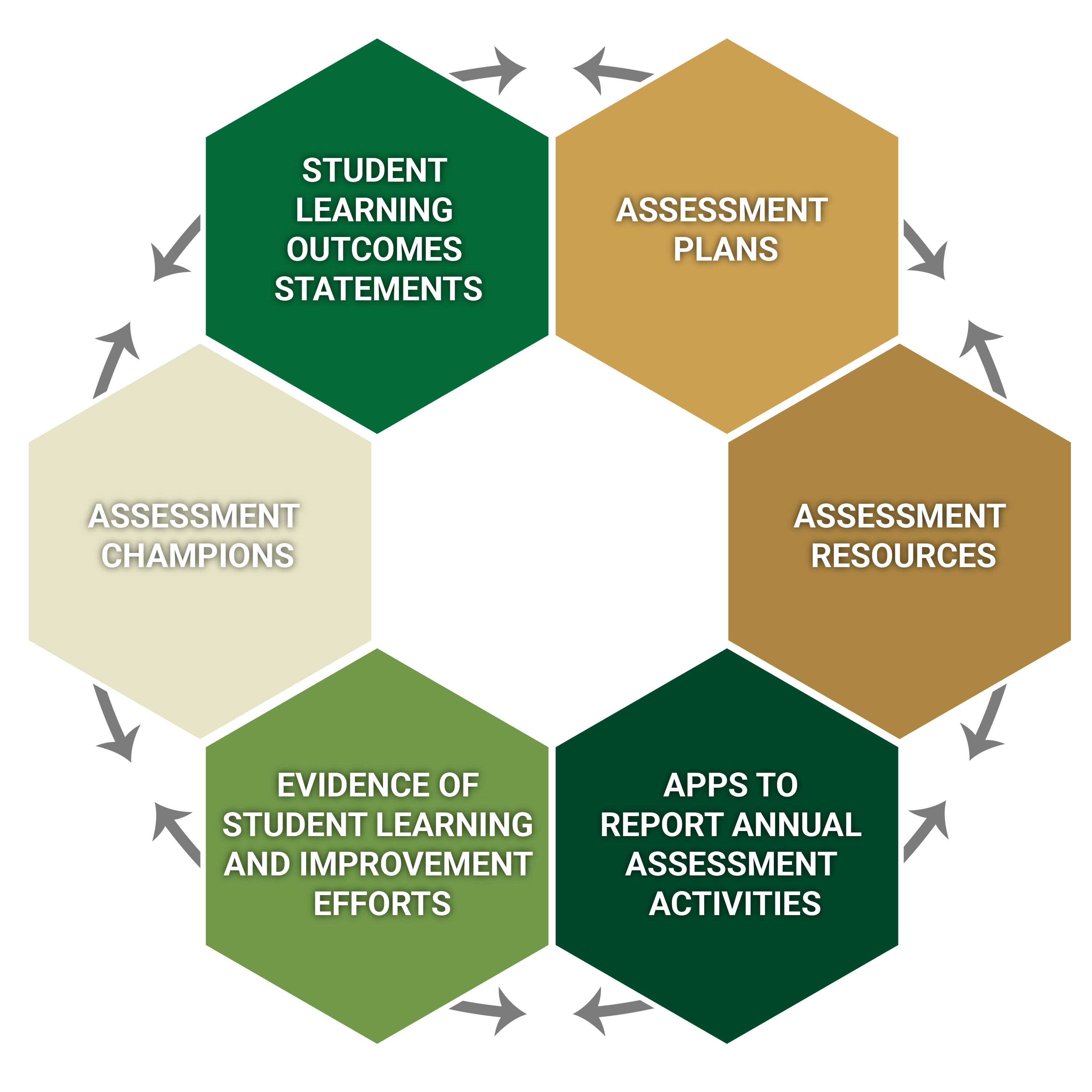 Steps involved in the Student assessment learning process refer to explanation below for each step