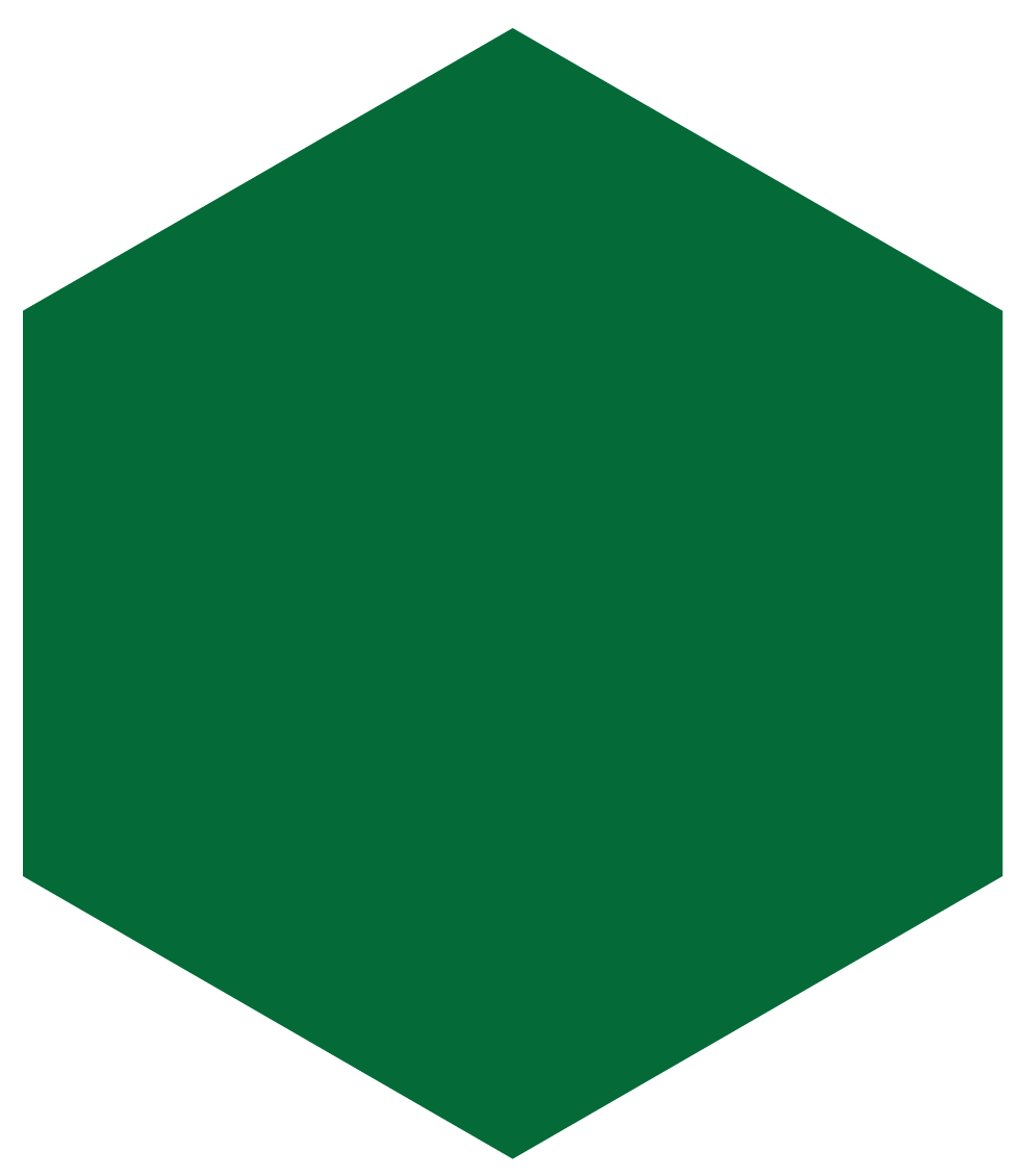 Wright State Green icon