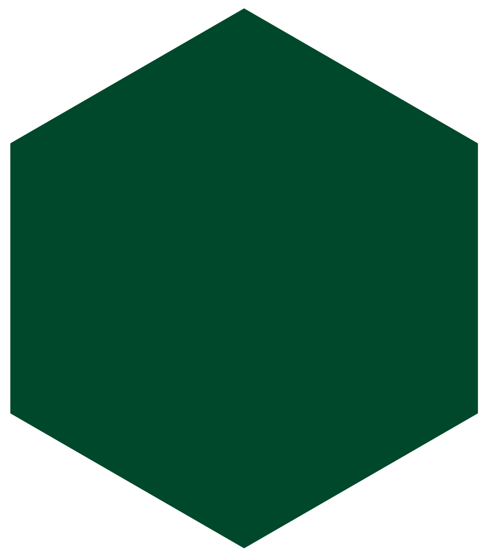 Wright State Dark Green icon