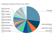 Salary pie chart