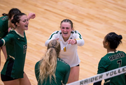 Volleyball players celebrate
