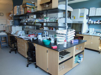 Paliy Laboratory image 2