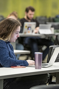 photo of a student using a laptop