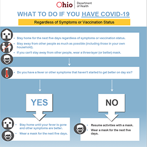 screen capture of a flowchart of what to do if you have covid-19 