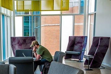 photo of a student looining at a laptop