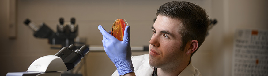 photo of a student working in a lab