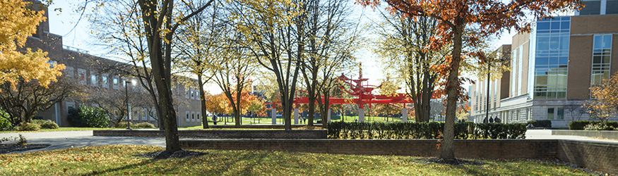 photo of students outside on campus