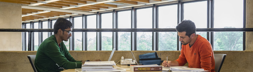 photo of students studying in the library