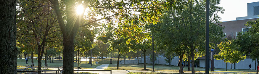 photo of campus with the sun shining through the trees