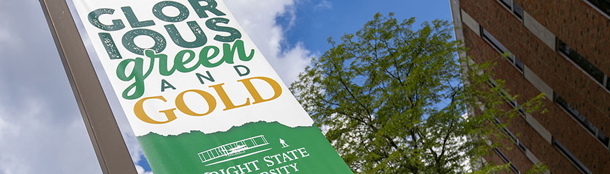 photo of a glorious green and gold pole banner on campus