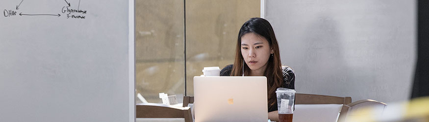 photo of a student studying in the library