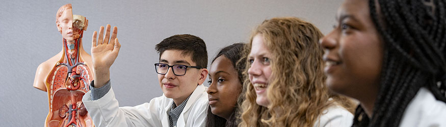 students sitting at a table in an anatomy class