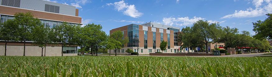 photo of university hall and green grass and blue skies