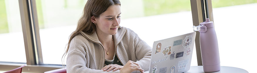 photo of a student using a laptop