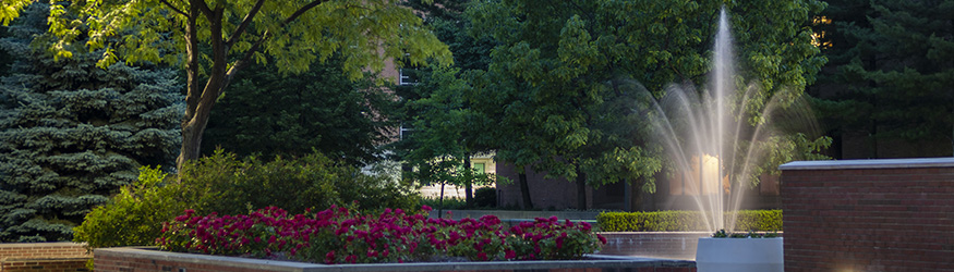 photo of flowers growing on campus