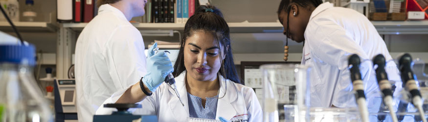 photo of a student working in a lab