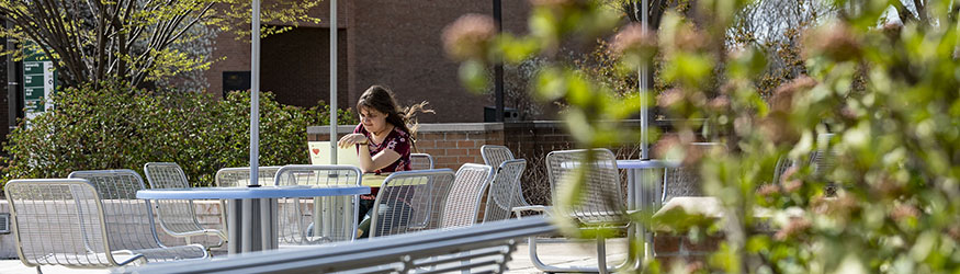 photo of a person using a laptop on campus