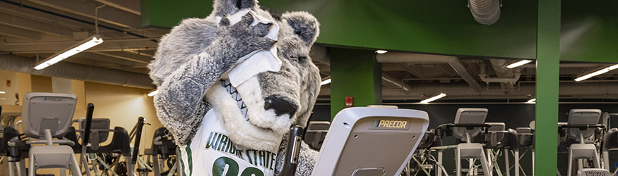 photo of rowdy in the fitness center