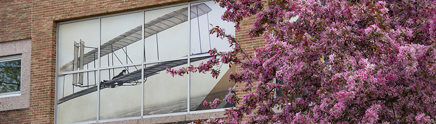 photo of the wright brothers plane mural and flowering tree