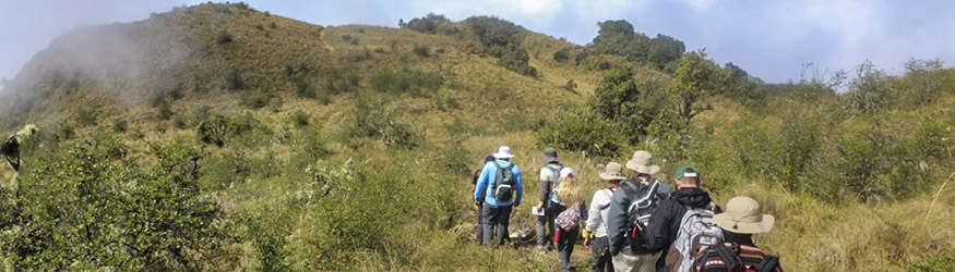 photo of students on a study abroad trip