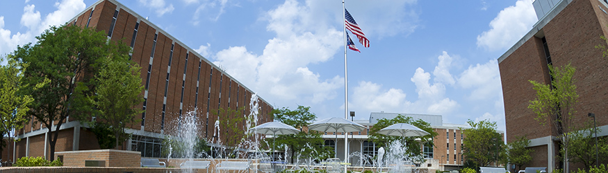 photo of flags and a fountain on campus