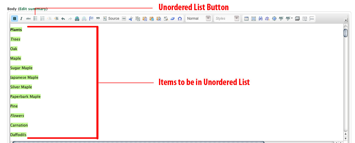 Unordered List screenshot