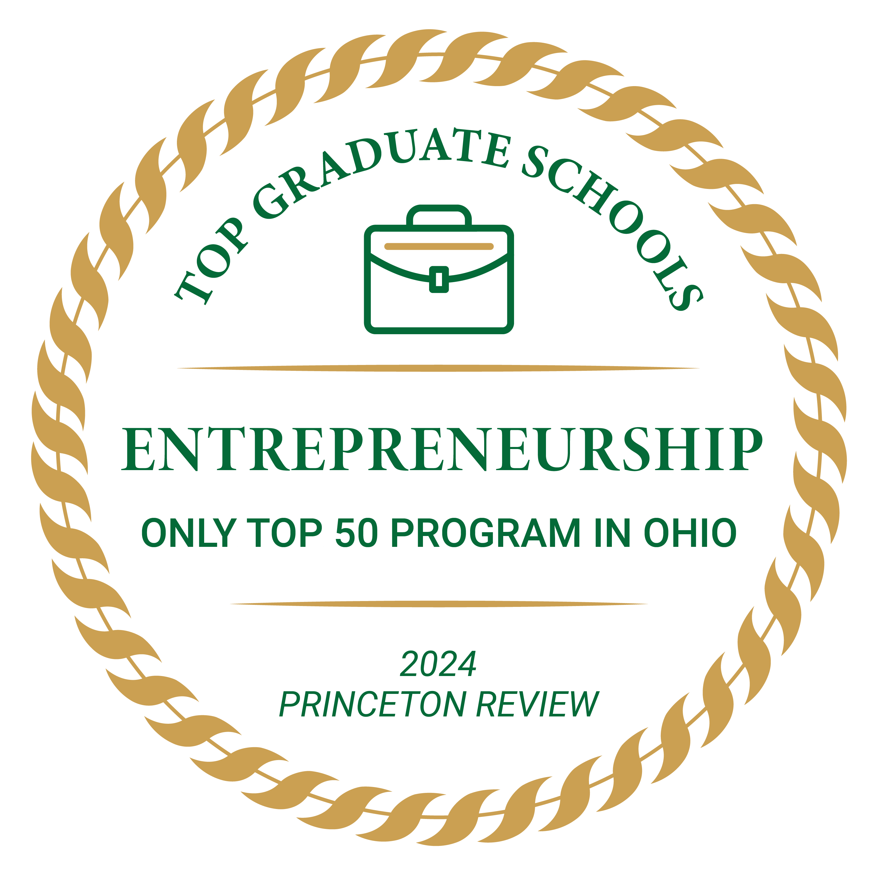 2020 Princeton Review Master's of Business Administration Entrepreneurship