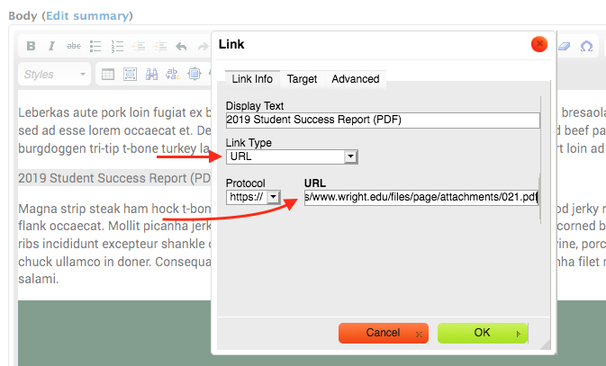 Screenshot of Add Link dialog, on tab Link Info, with fields Display Text, Link Type, Protocol, and URL