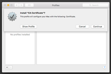screen capture of the casper ca certificate install window