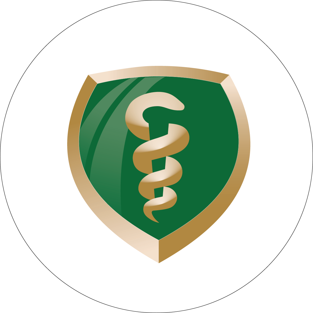 The Boonshoft School of Medicine full-color logo is reserved for the school's main social media channel. 