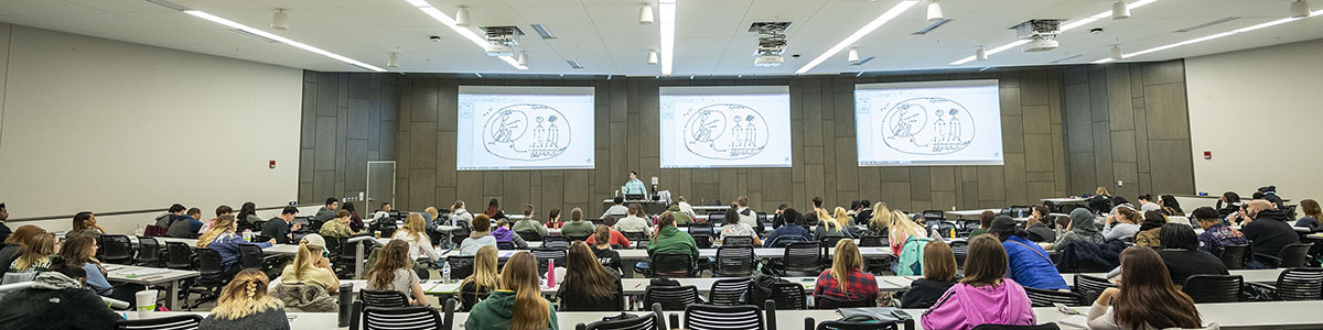 photo of a professor and students in a classroom