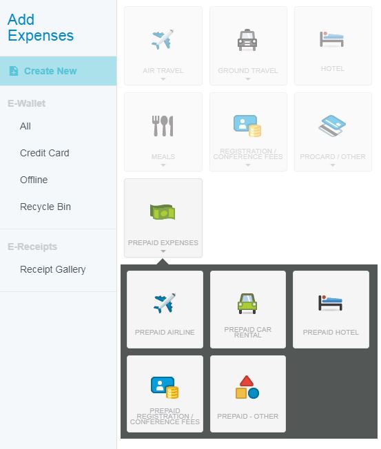 Screenshot of prepaid expense tile and sub-category expense tiles
