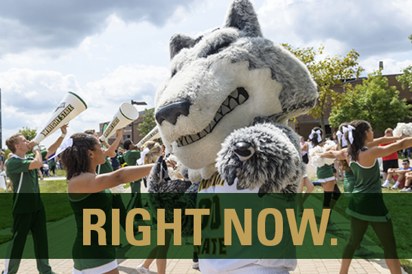 Image of rowdy raider with dancing celebrating students behind him