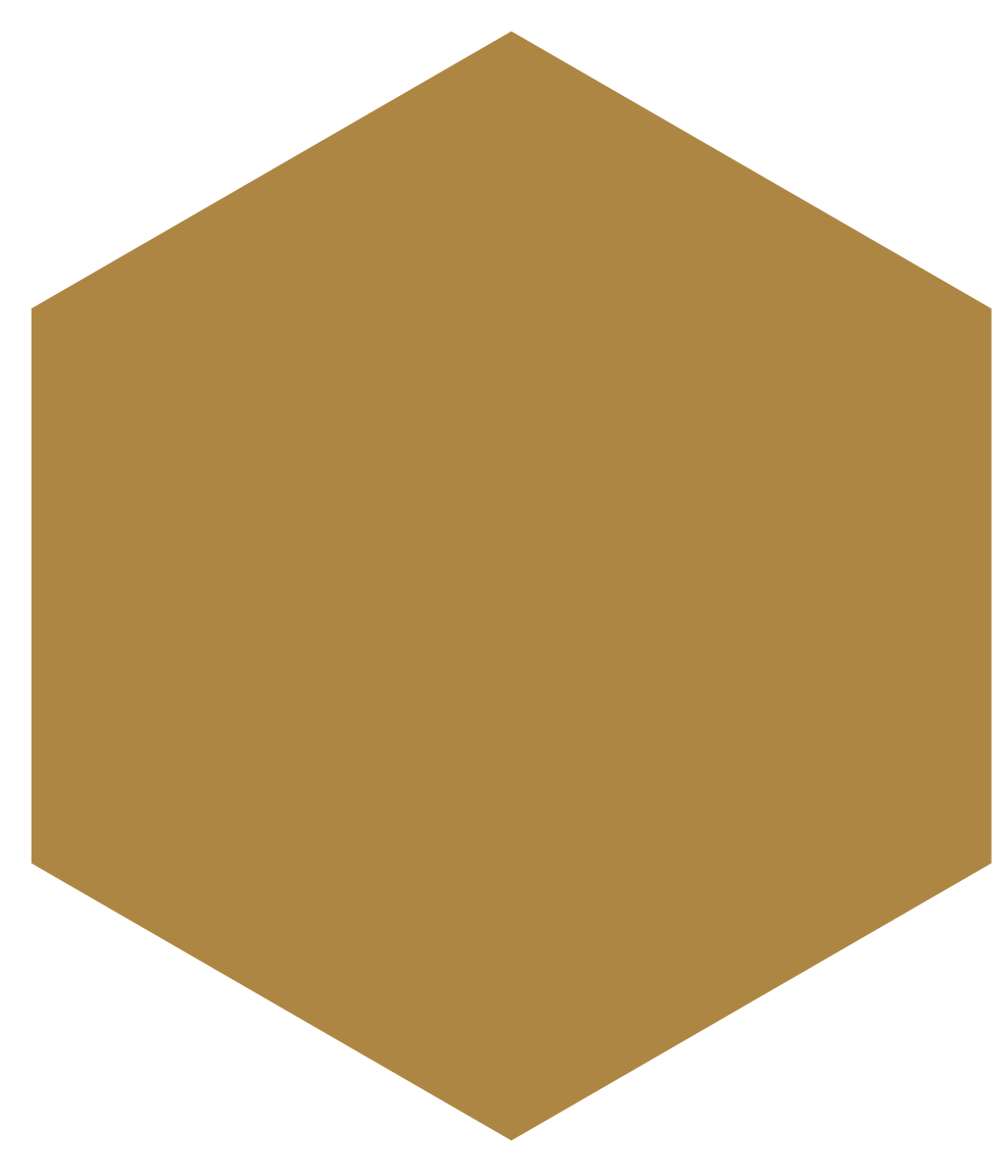 Wright State Dark Gold Icon