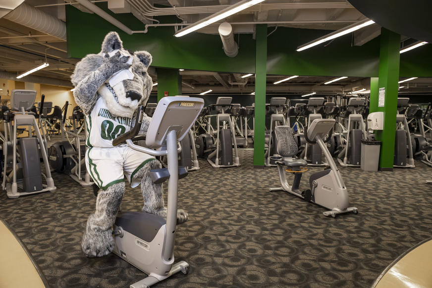 photo of rowdy on an exercise bicycle in the fitness center