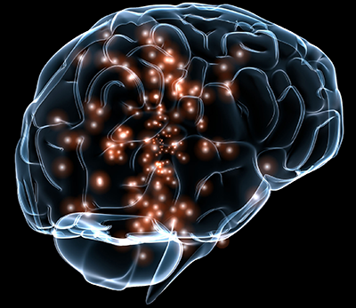 image of a human g=brain