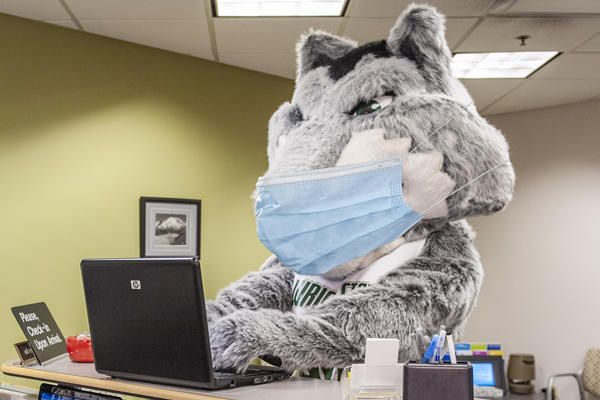 Rowdy wearing a mask working at a laptop