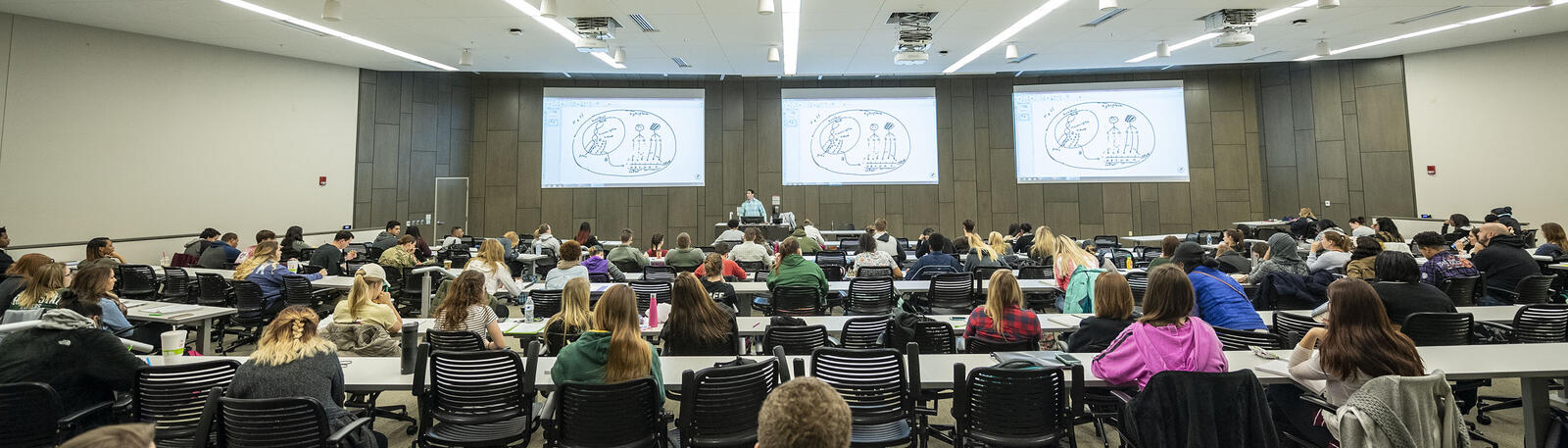 photo of students and a professor in a lecture hall