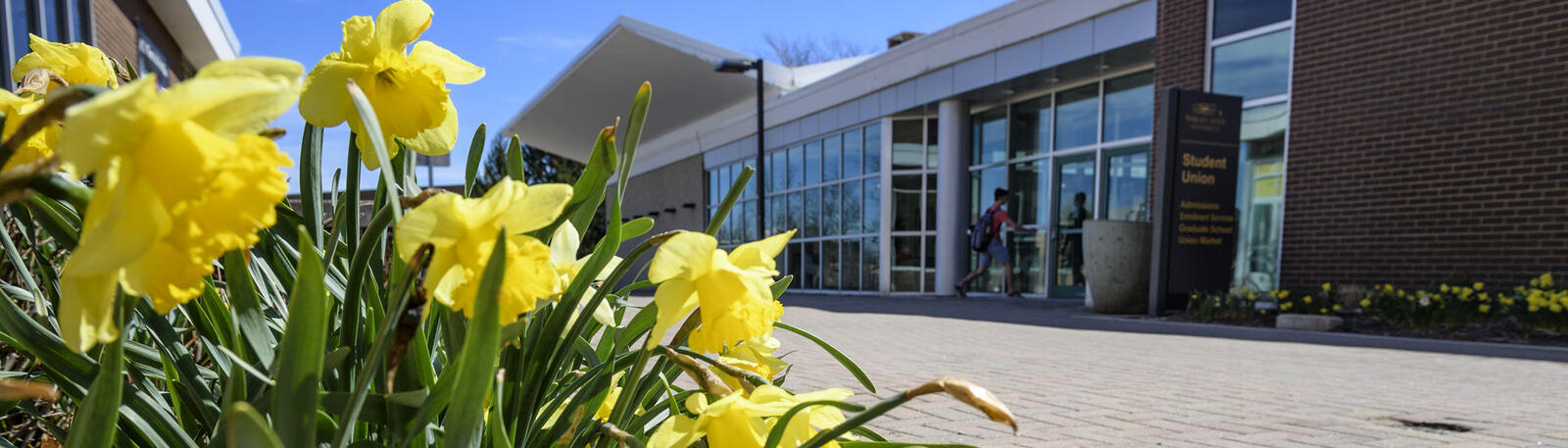 photo of the student union