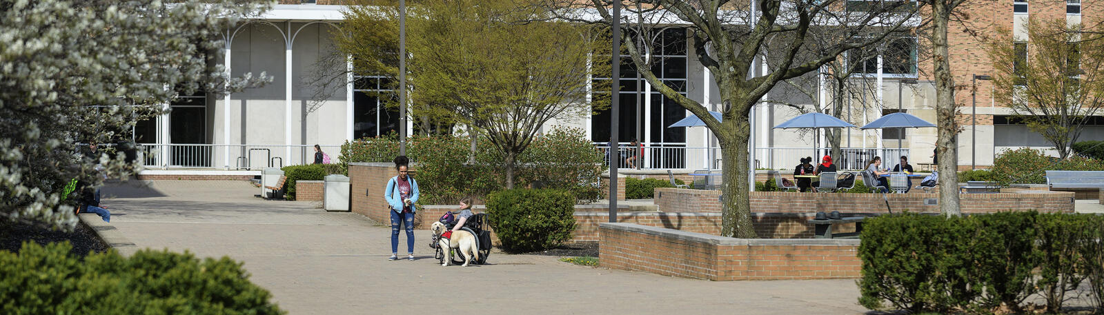 photo of students outside on campus