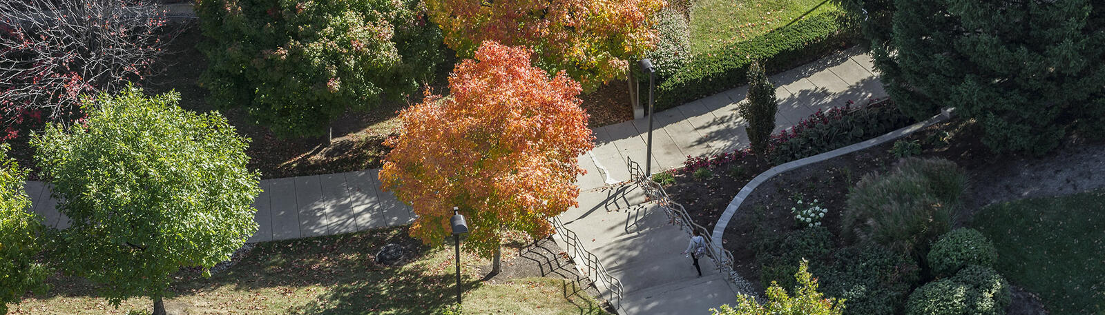 students walking outside on campus