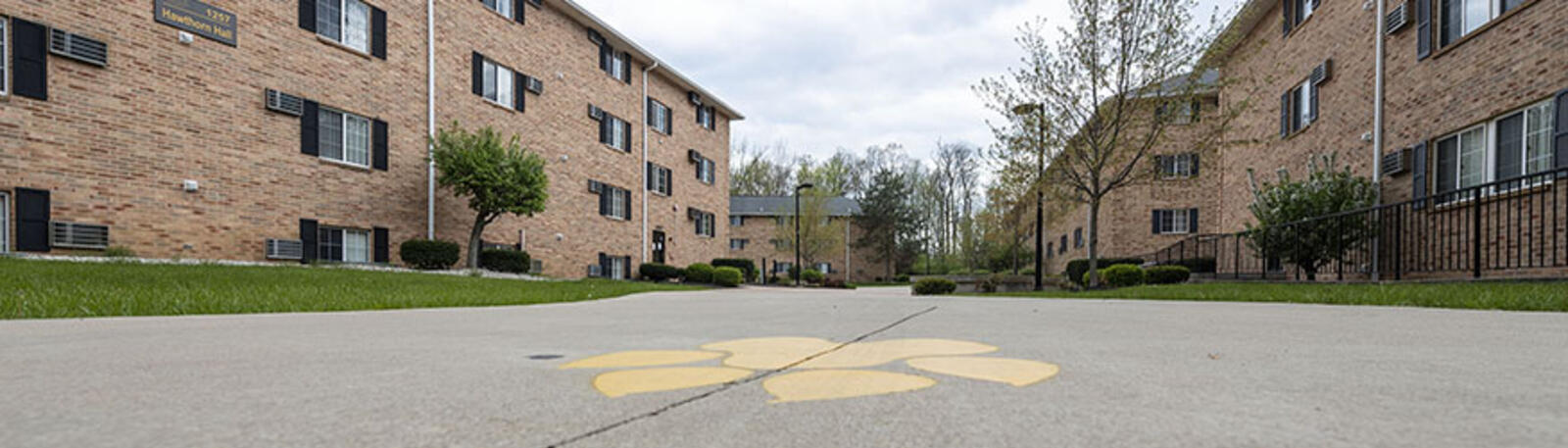 Picture of surrounding around on campus housing