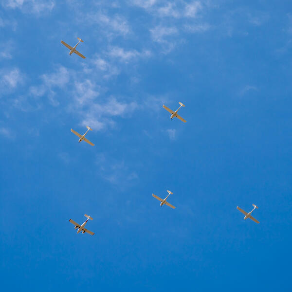Wright State University celebrates Constitution Day