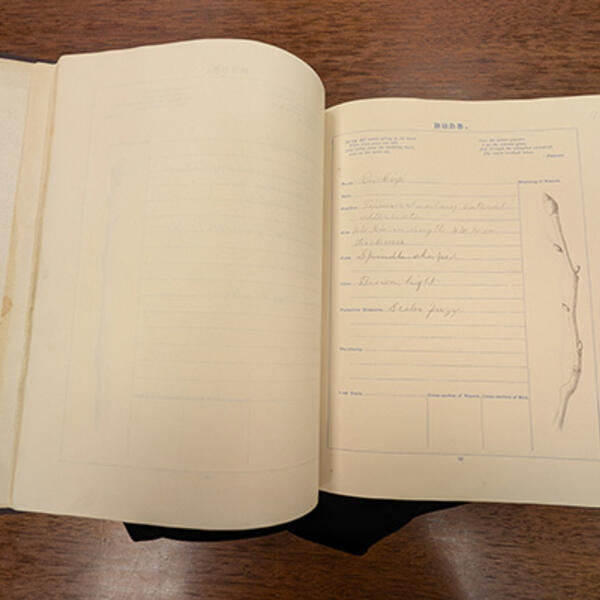 Federally funded conservation treatment helps preserve Wright brothers’ family history