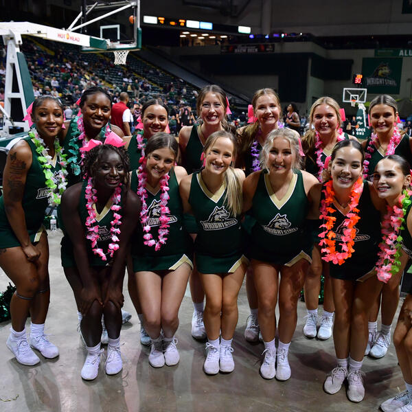 Picture of Cheer Team