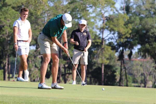 Golfers putting on the green