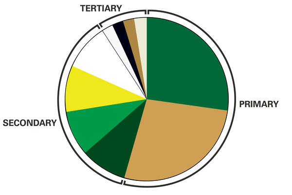 Wright State Brand Color Ratio